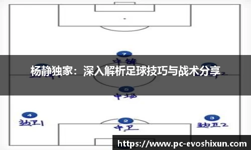杨静独家：深入解析足球技巧与战术分享